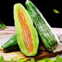 山东羊角蜜甜瓜 无名农夫羊角蜜 爽口多汁甜瓜