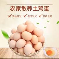 无名农夫土鸡蛋 农家散养土鸡蛋 高蛋白鸡蛋