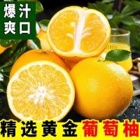 福建黄金葡萄柚 无名农夫柚子 香甜西柚朱栾酸橙