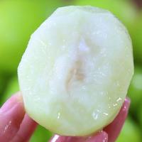 无名农夫大青枣 脆甜牛奶枣 皮薄肉厚青枣