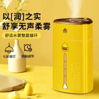 顺睿纳米级空气加湿器 家用车载增湿机香薰机喷雾器