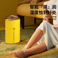 顺睿纳米级空气加湿器 家用车载增湿机香薰机喷雾器